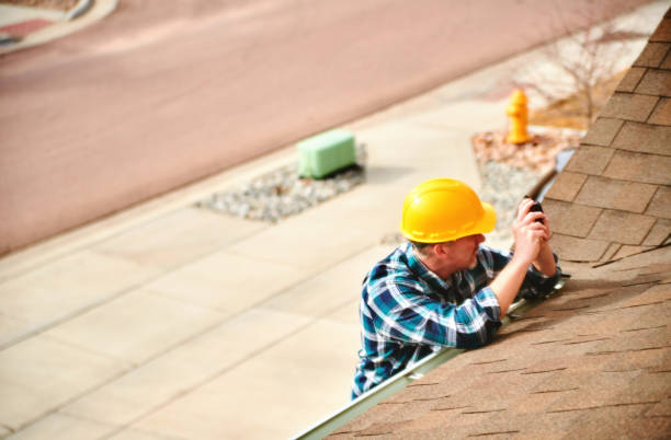 Best Roof Gutter Cleaning  in Salem, AR